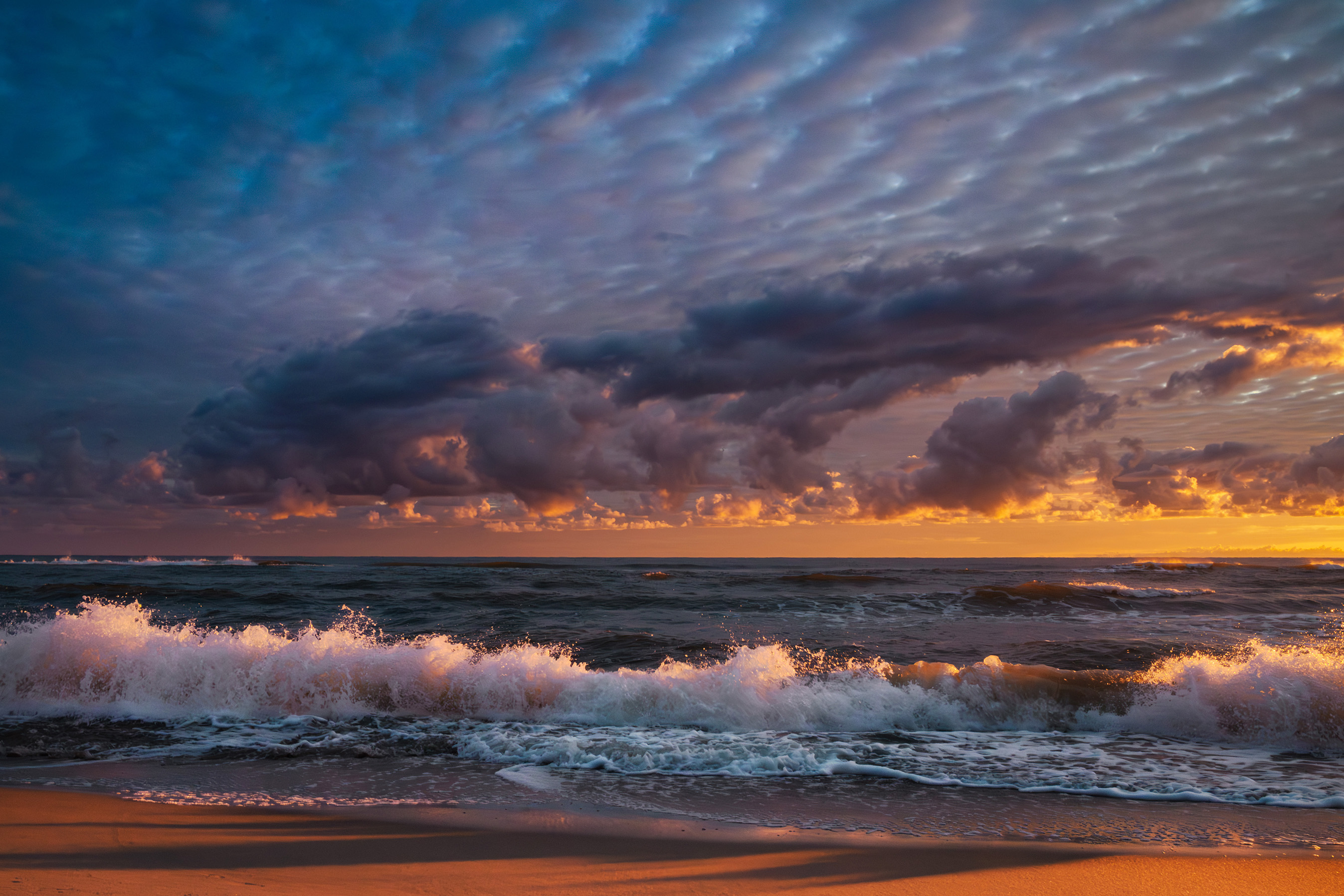 Bałtyckie wybrzeże w słońcu - fotografia przyrodnicza Wiesław Kość